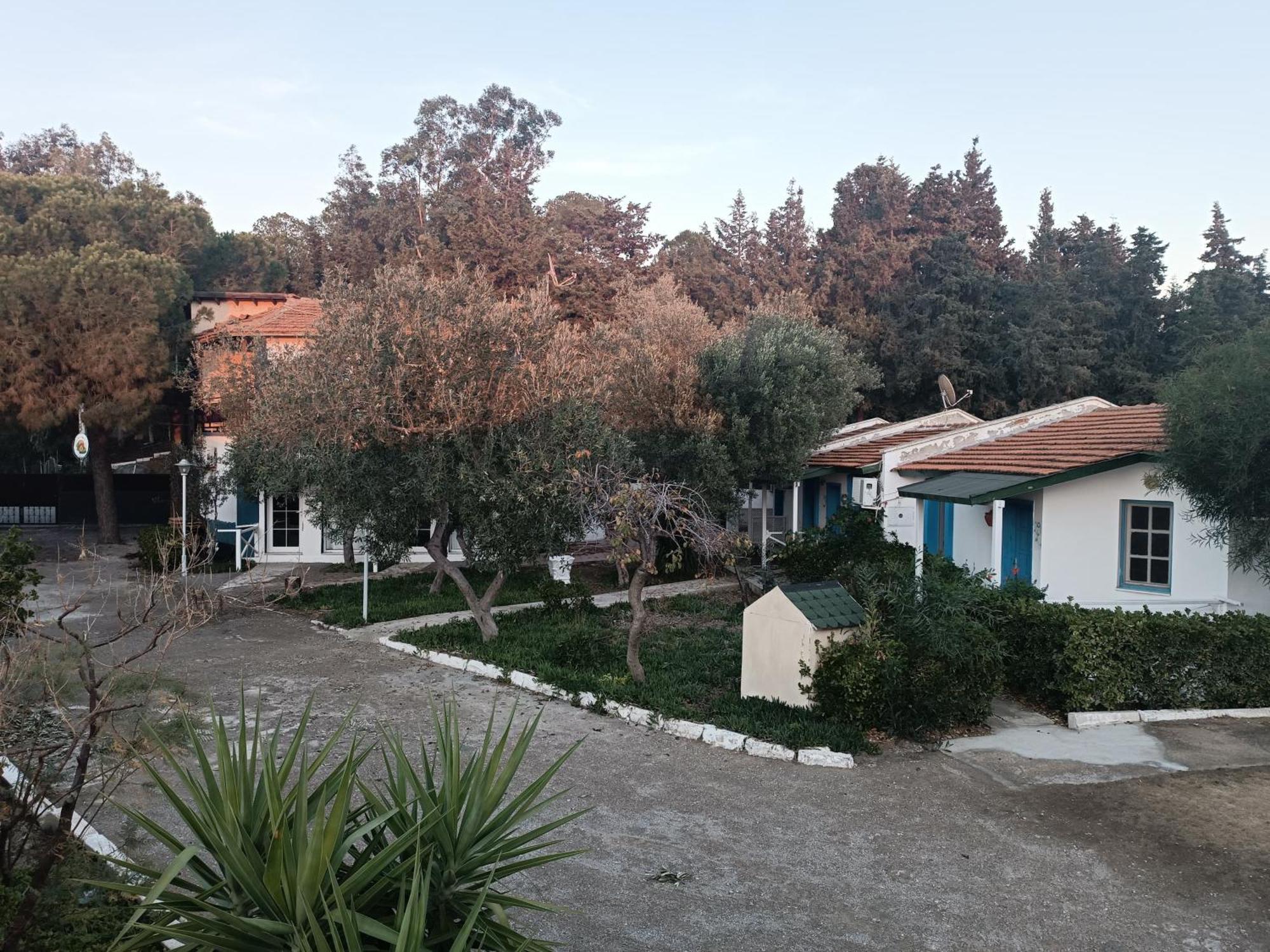Teos Ormanci Tatil Koyu Hotell Seferihisar Eksteriør bilde