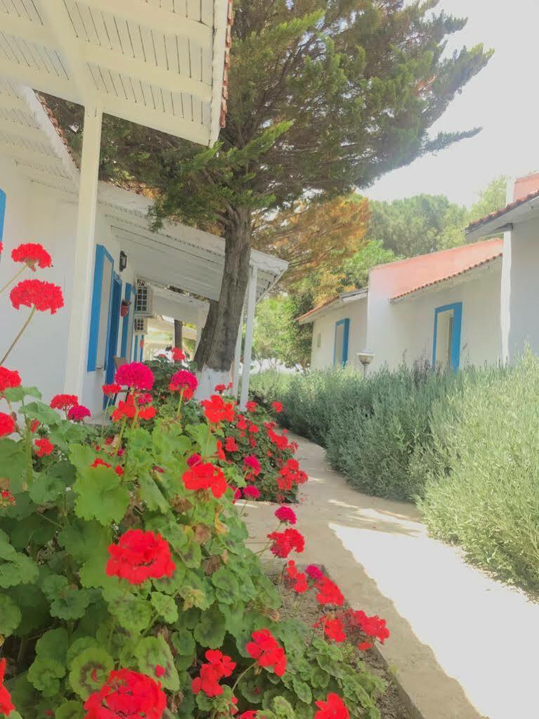 Teos Ormanci Tatil Koyu Hotell Seferihisar Eksteriør bilde